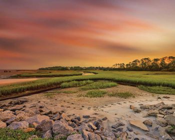 Natural Surroundings of Tributary