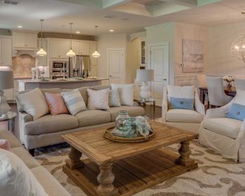 DreamFinders Great Room View