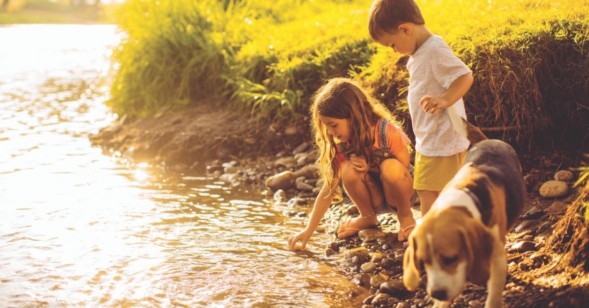 Kids playing in the creek