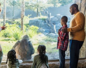 family at jacksonville zoo near nassau county