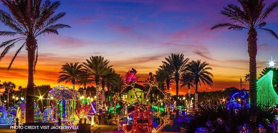 Holiday Entertainment christmas lights