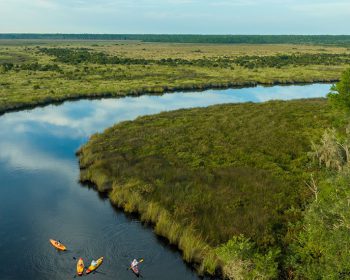 Boggy Creek and kayaking