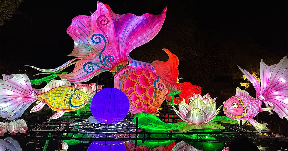 Art installation at night