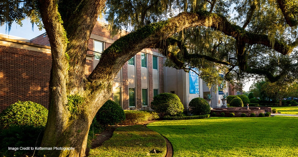 the Museum of Science & History 