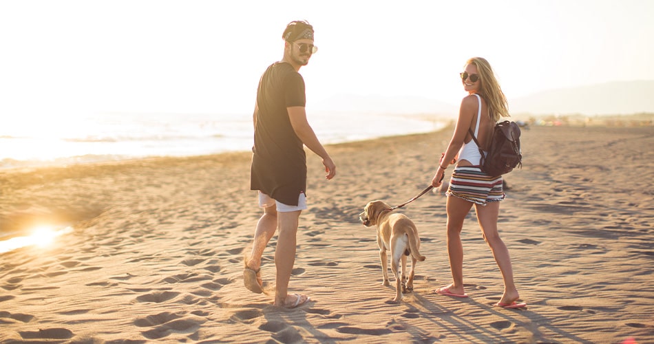 Northeast Florida dog friendly beaches