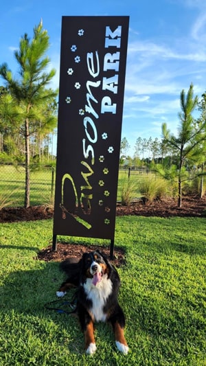 Dog infront of the Tributary pawsome Dog Park
