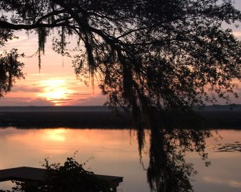 Tributary Florida Natural Side