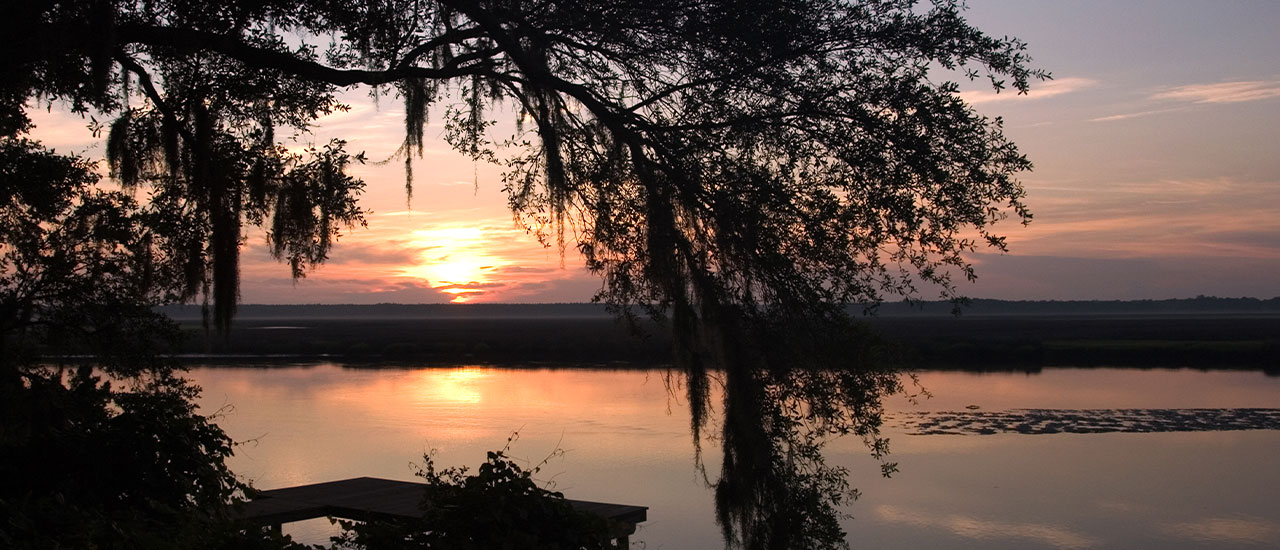 Tributary Florida Natural Side