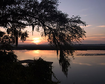 See How Florida’s Natural Side Won the Hearts of This Virginia Couple